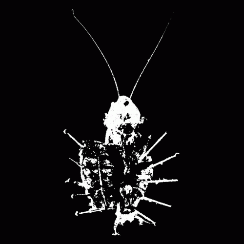 Blattaria : Life Is a Disease